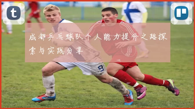 成都乒乓球队个人能力提升之路探索与实践分享