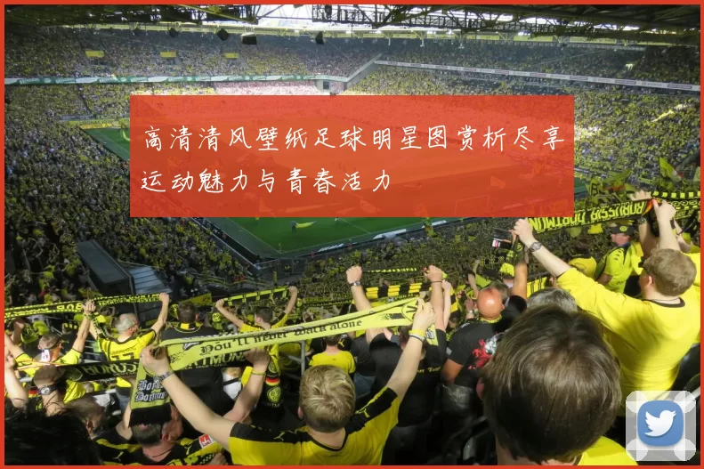 高清清风壁纸足球明星图赏析尽享运动魅力与青春活力