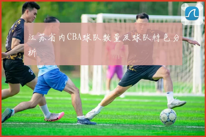 江苏省内CBA球队数量及球队特色分析