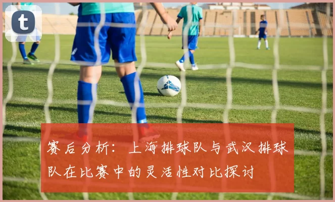 赛后分析：上海排球队与武汉排球队在比赛中的灵活性对比探讨
