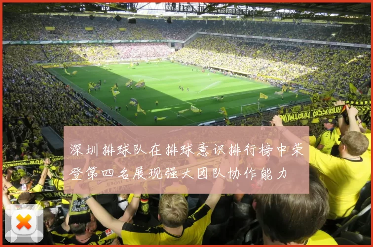 深圳排球队在排球意识排行榜中荣登第四名展现强大团队协作能力