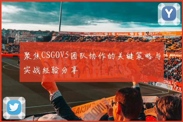 聚焦CSGOV5团队协作的关键策略与实战经验分享