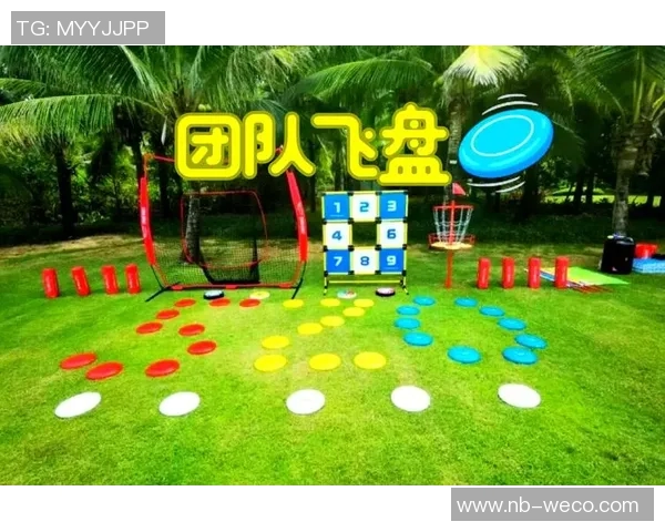 飞盘飞扬:重庆飞盘队成长历程的真实记录与感人故事