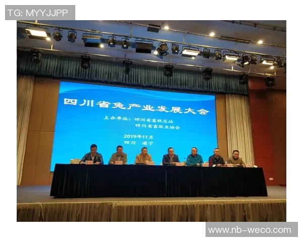 以前锋为中心，探讨现代企业如何通过创新与技术实现突破性发展