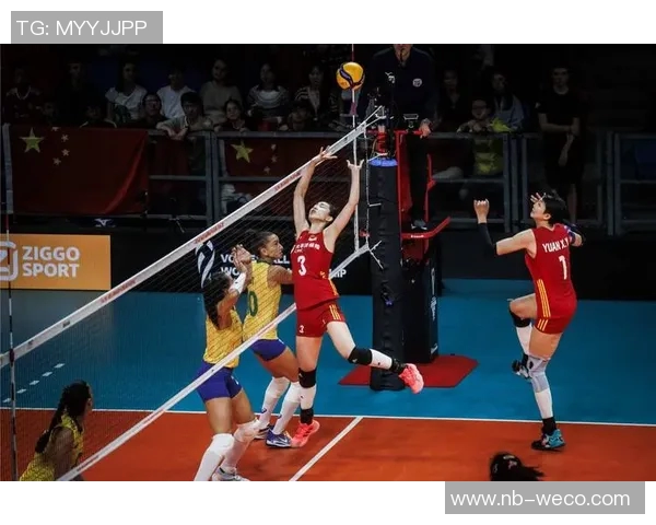 北京排球队实力分析与未来发展展望聚焦排球运动的魅力与挑战