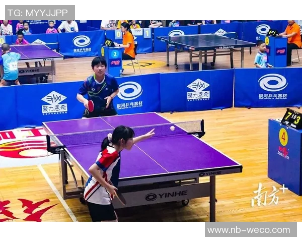 球类运动的多样性与魅力：从传统到创新的运动项目与发展趋势探索